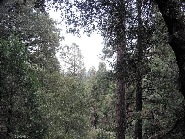 21978 Waters Drive, Cedarpines Park, California 92322