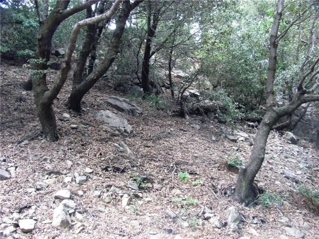 21978 Waters Drive, Cedarpines Park, California 92322