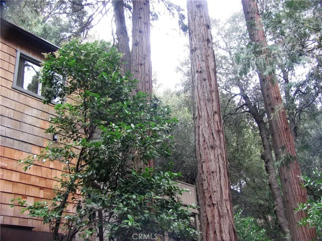 21978 Waters Drive, Cedarpines Park, California 92322