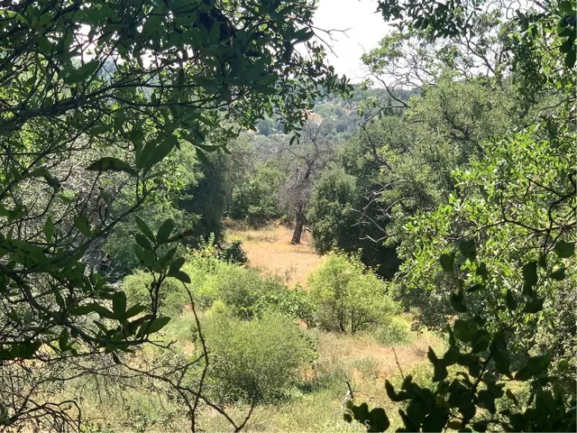 6 Acres Hwy 78, Julian, California 92036