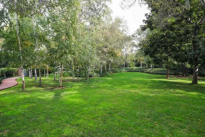 1492 Webster Street, Palo Alto, California 94301