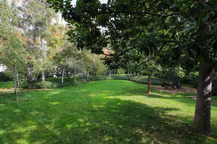 1492 Webster Street, Palo Alto, California 94301