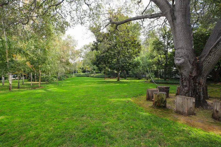 1492 Webster Street, Palo Alto, California 94301