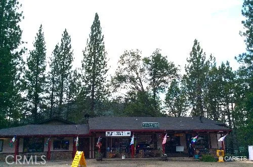 54310 North Shore 432 Road, Bass Lake, California 93604