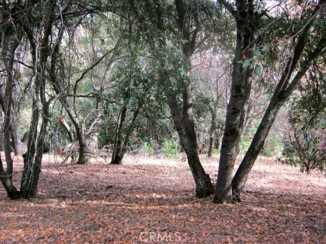 39 E E Highland Drive, Wishon, California 93669