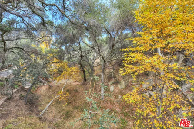 20965 Canyon Trail, Topanga, California 90290