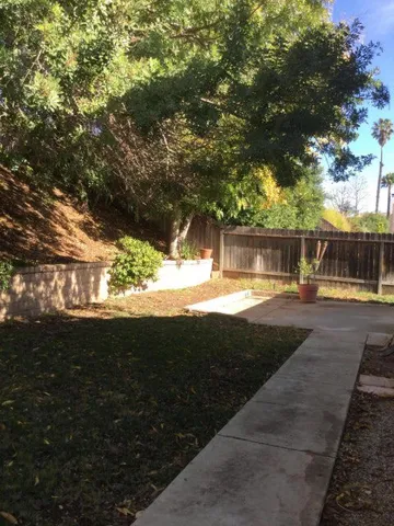 Back yard (2)