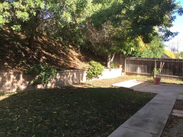 Back yard