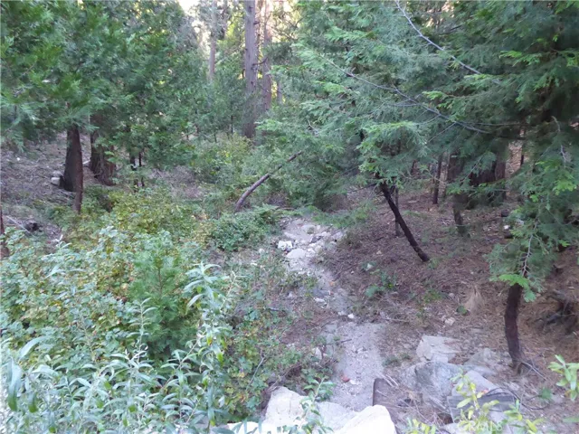 489 Clubhouse Drive, Twin Peaks, California 92391