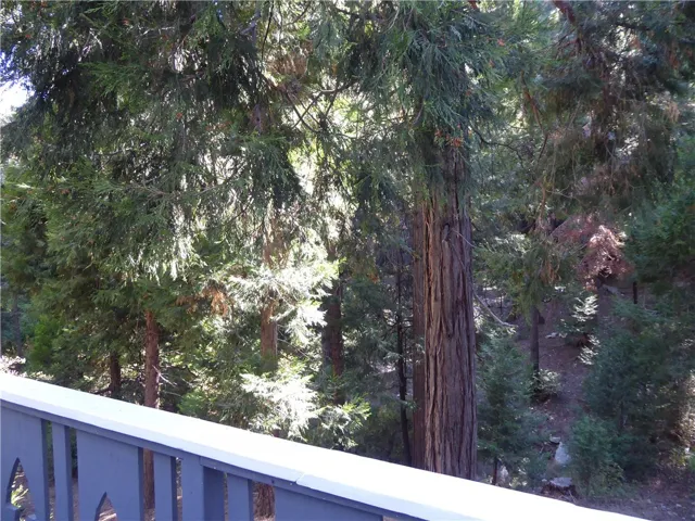 489 Clubhouse Drive, Twin Peaks, California 92391