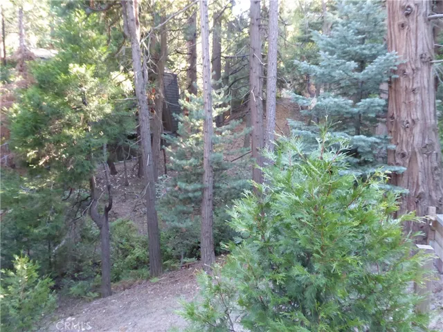 489 Clubhouse Drive, Twin Peaks, California 92391