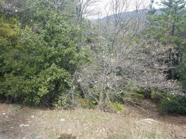 24021 Bowl Road, Crestline, California 92325