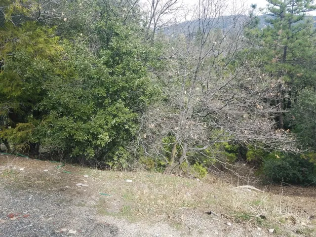 24021 Bowl Road, Crestline, California 92325