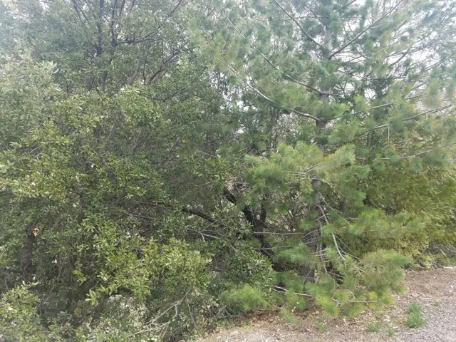 24021 Bowl Road, Crestline, California 92325