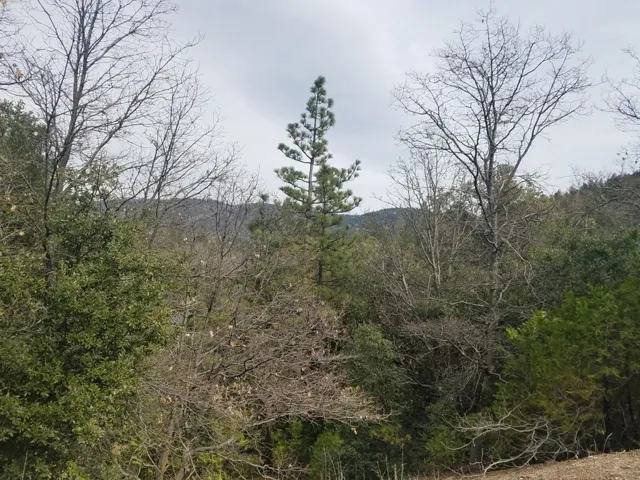 24021 Bowl Road, Crestline, California 92325