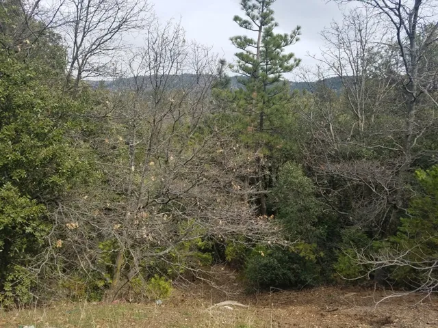 24021 Bowl Road, Crestline, California 92325