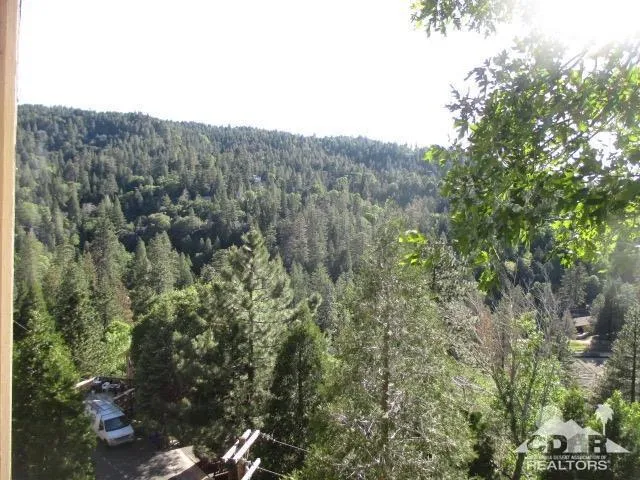 797 Berne Drive, Crestline, California 92325