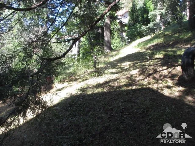 797 Berne Drive, Crestline, California 92325