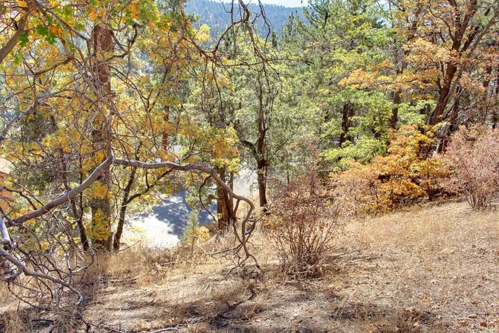 867 Menlo Drive, Big Bear, California 92315