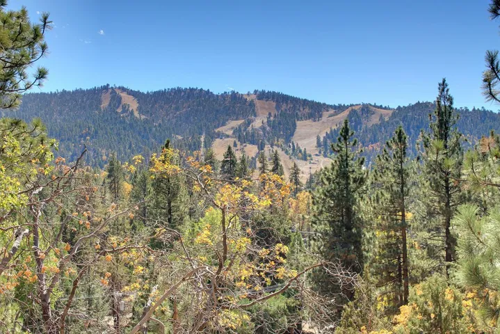 867 Menlo Drive, Big Bear, California 92315