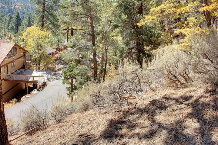 867 Menlo Drive, Big Bear, California 92315