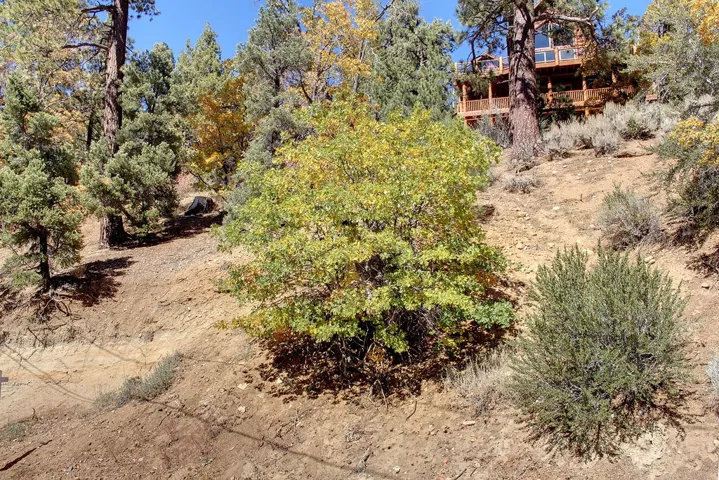 867 Menlo Drive, Big Bear, California 92315