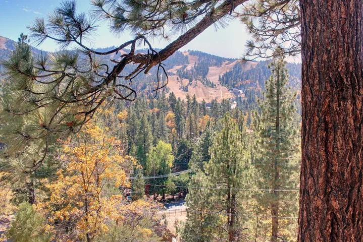 867 Menlo Drive, Big Bear, California 92315