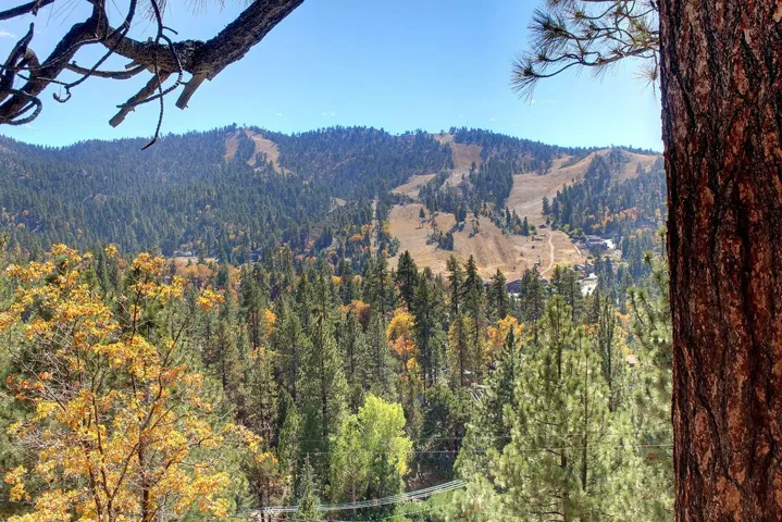 867 Menlo Drive, Big Bear, California 92315