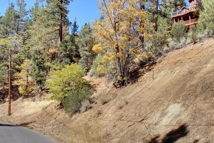 867 Menlo Drive, Big Bear, California 92315