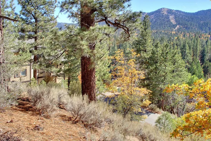 867 Menlo Drive, Big Bear, California 92315