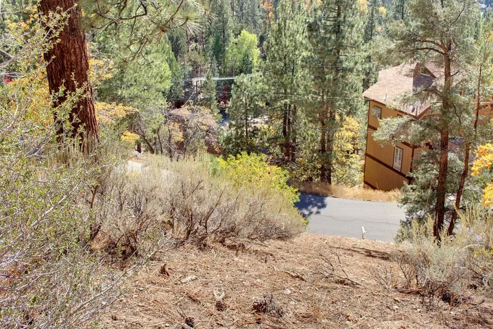 867 Menlo Drive, Big Bear, California 92315