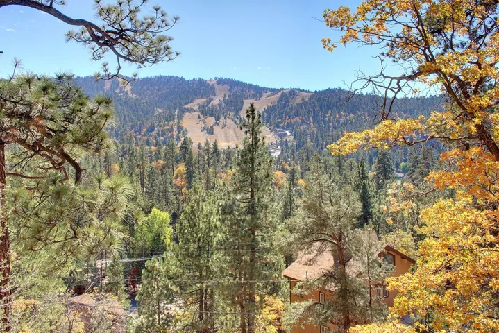 867 Menlo Drive, Big Bear, California 92315