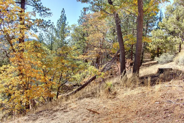867 Menlo Drive, Big Bear, California 92315