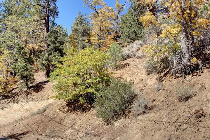 867 Menlo Drive, Big Bear, California 92315
