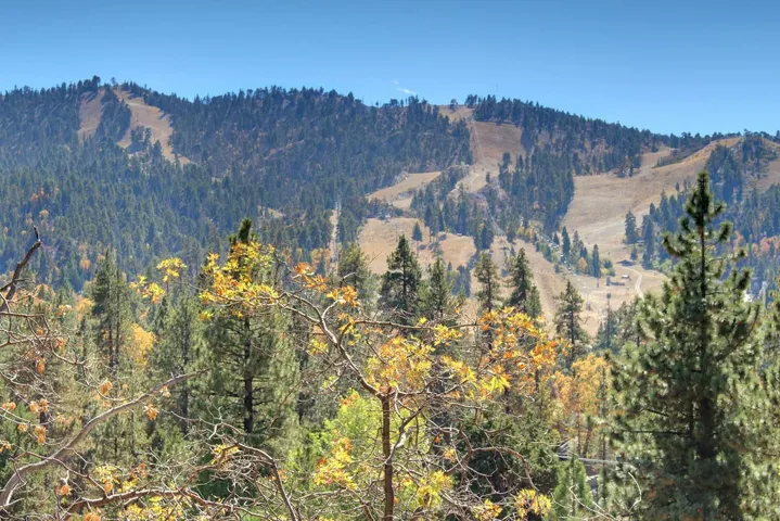867 Menlo Drive, Big Bear, California 92315