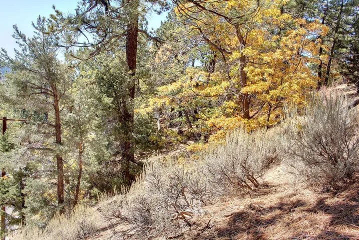 867 Menlo Drive, Big Bear, California 92315