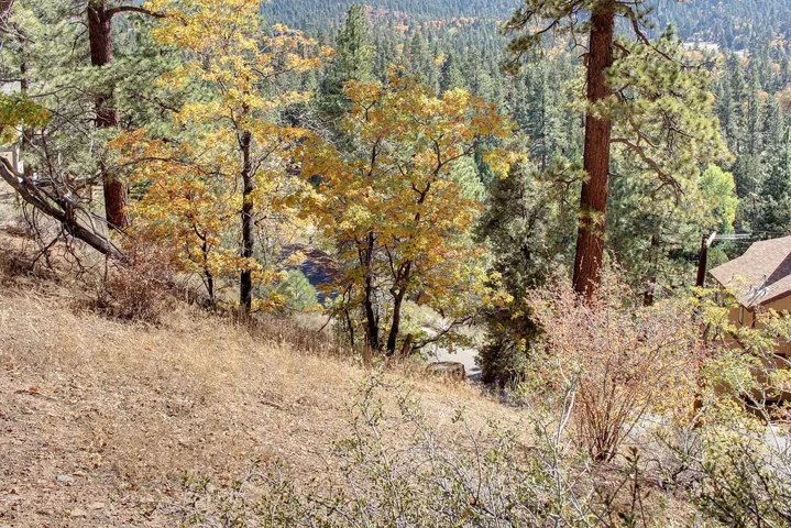 867 Menlo Drive, Big Bear, California 92315
