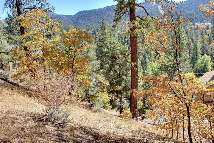 867 Menlo Drive, Big Bear, California 92315