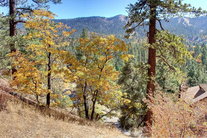 867 Menlo Drive, Big Bear, California 92315
