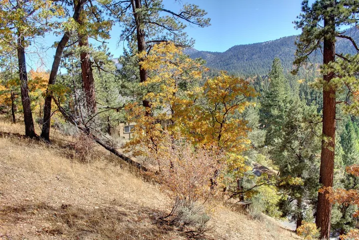 867 Menlo Drive, Big Bear, California 92315
