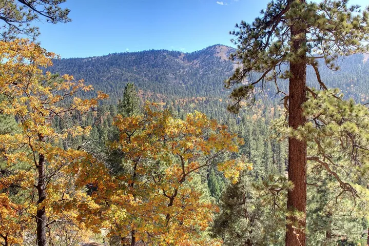 867 Menlo Drive, Big Bear, California 92315