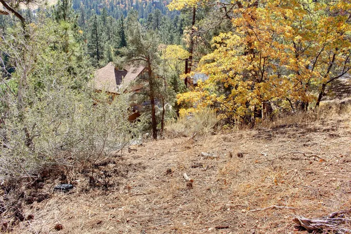 867 Menlo Drive, Big Bear, California 92315