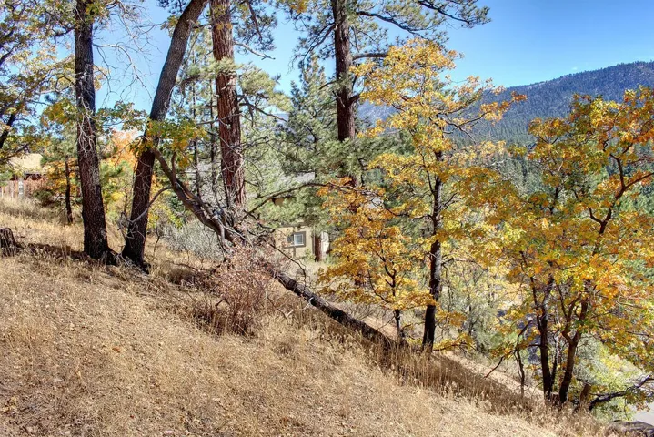 867 Menlo Drive, Big Bear, California 92315