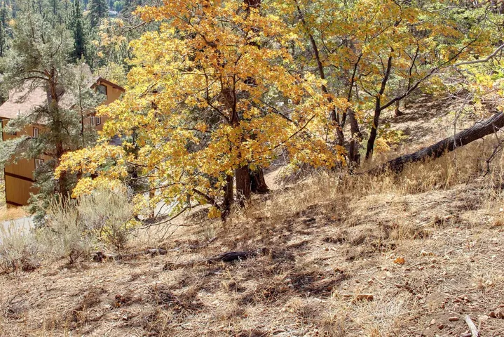 867 Menlo Drive, Big Bear, California 92315