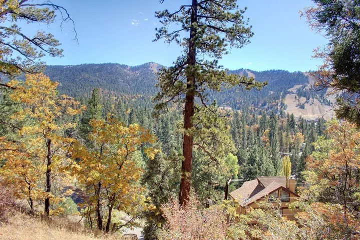 867 Menlo Drive, Big Bear, California 92315