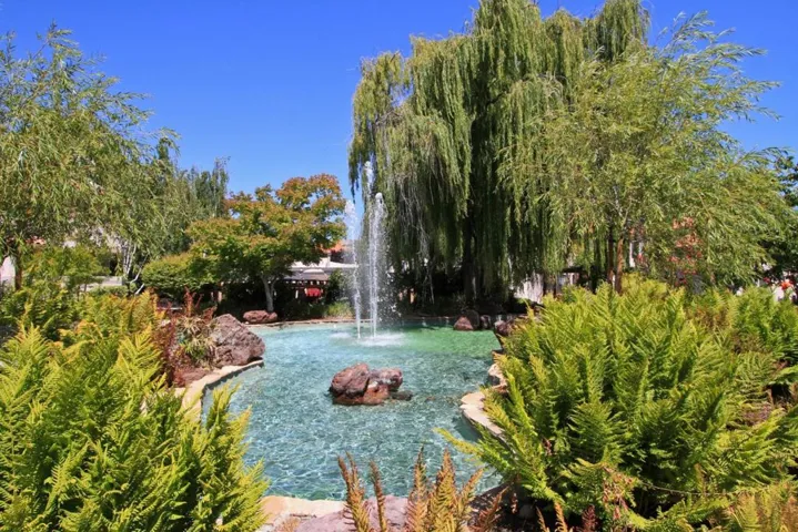 10165 Danube Drive, Cupertino, California 95014