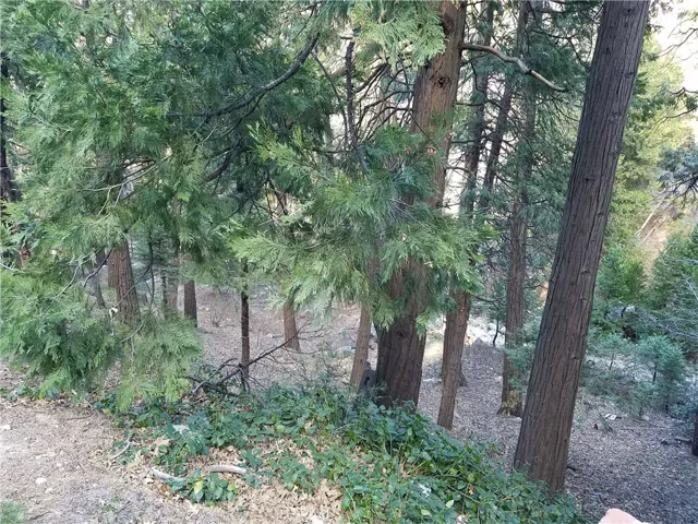 0 Valle Drive, Crestline, California 92325