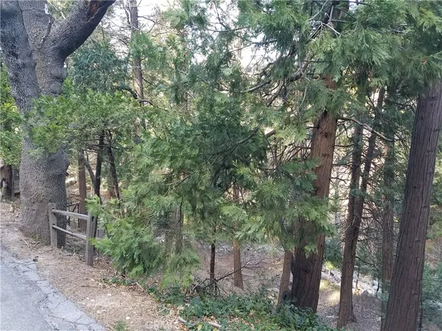 0 Valle Drive, Crestline, California 92325