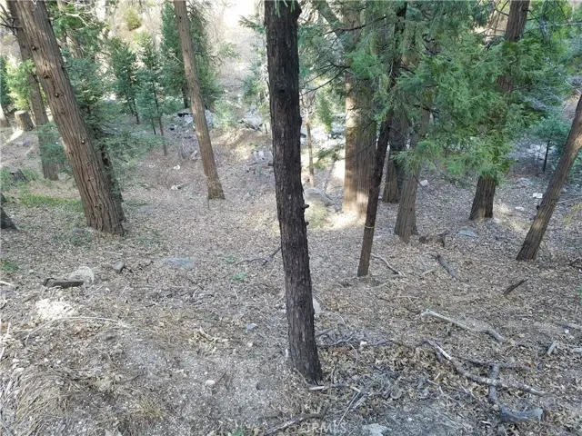 0 Valle Drive, Crestline, California 92325