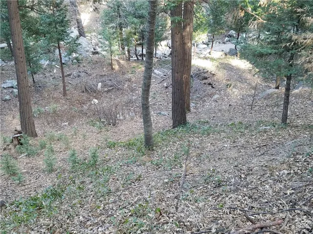 0 Valle Drive, Crestline, California 92325